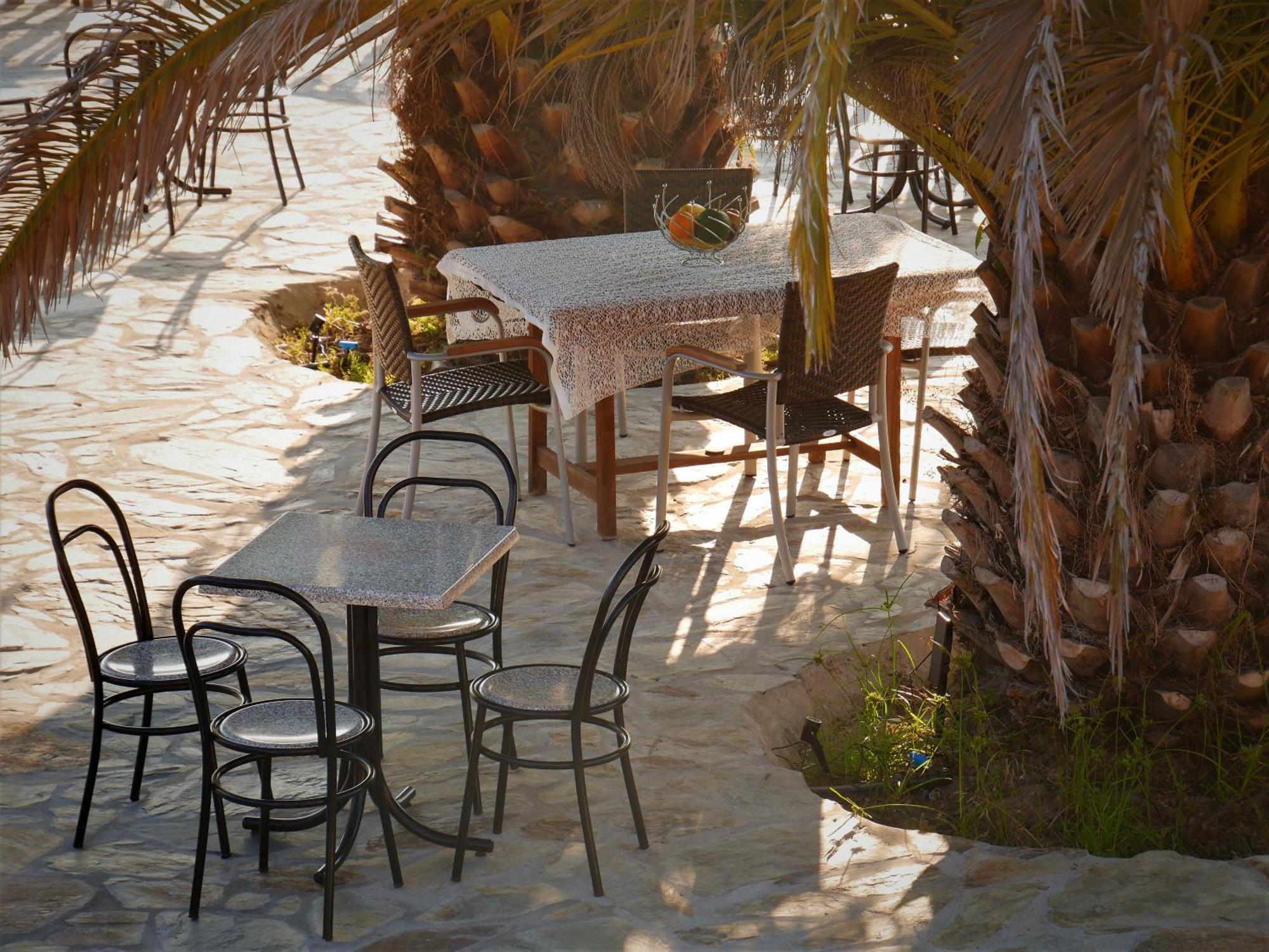 Encontro No Rio Acomodação com café da manhã Póvoa de Midões Exterior foto